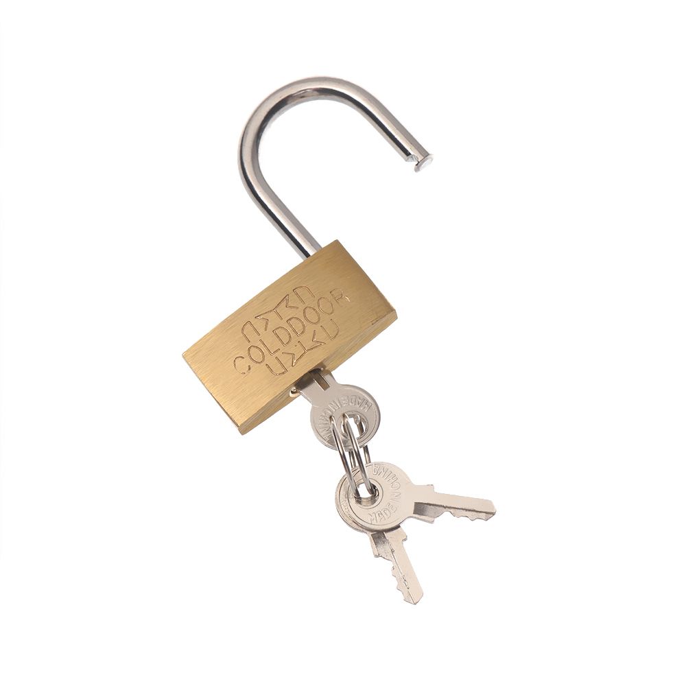 Mini Copper Lock with 2 Keys B - Letter Opener Brass 评论和价格